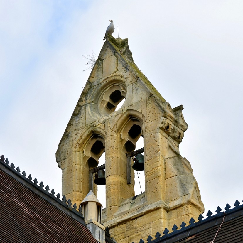 Bells and Bird